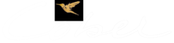 logo witalfa